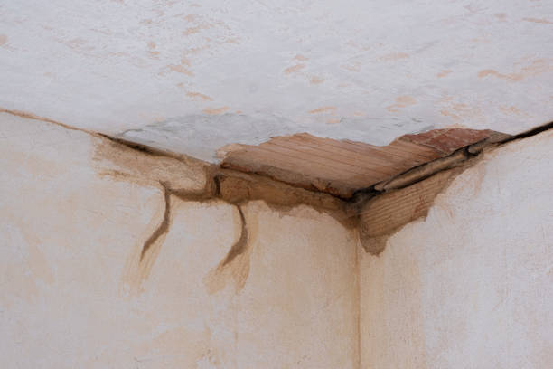 Best Local water damage restoration  in Eyota, MN