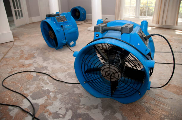 Fire Damage Restoration in MN