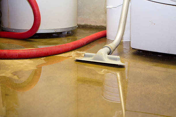  Eyota, MN Water damage restoration Pros