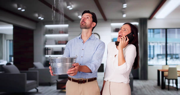 Best Sewage cleanup and water damage restoration  in Eyota, MN