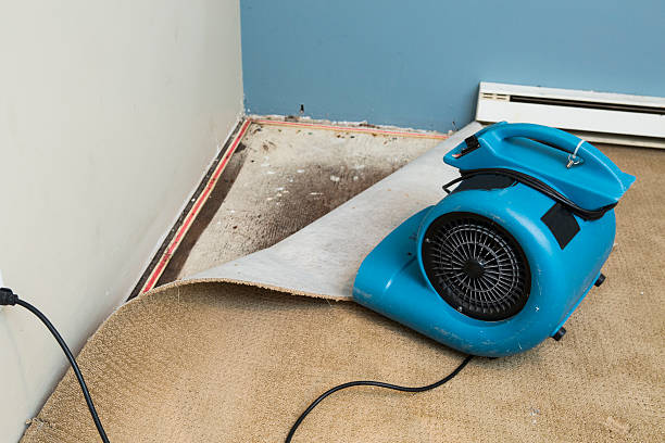 Best Commercial water damage restoration  in Eyota, MN
